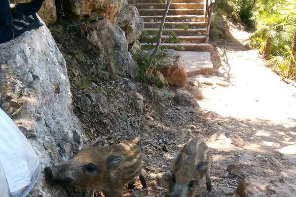 Unveiling Sicily's Coastal Charms: Zingaro, Marsala Sunset Private Tour