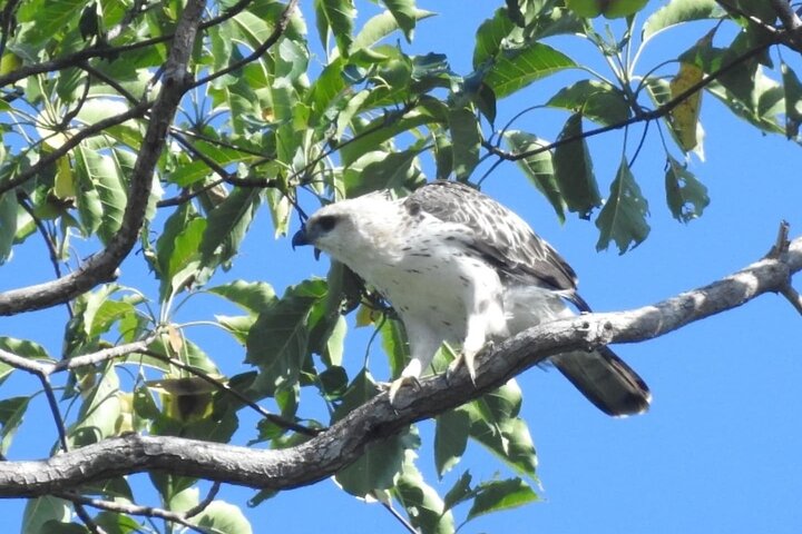 Experience Image img1