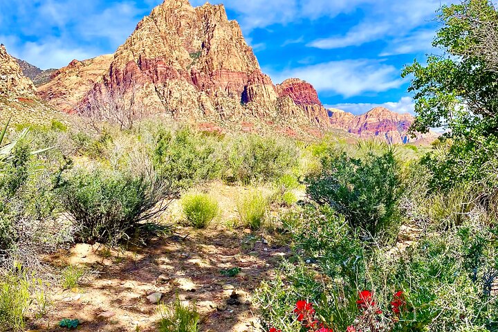 Experience Image img1