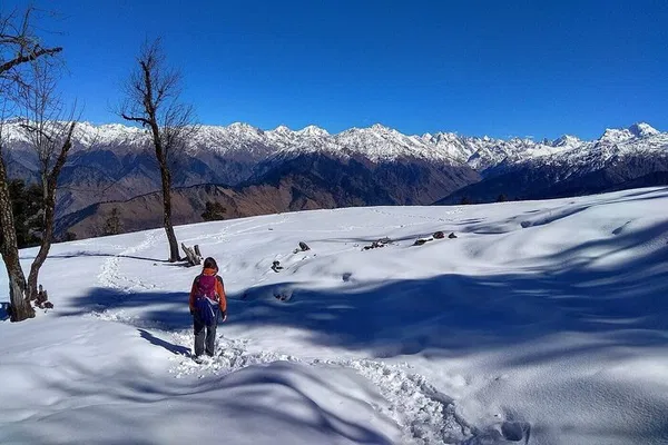 Conquer Kedarkantha: A Thrilling 5-Day Himalayan Trek from Dehradun