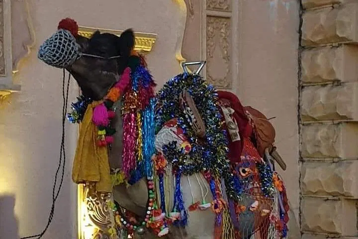 img0
