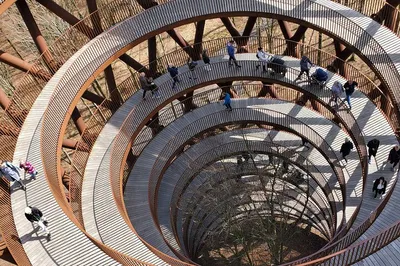 Experience Image Copenhagen Forest & Art: Private Tour with Lunch!