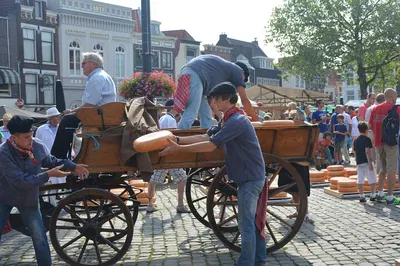 Uncover Holland's Charms: Your Exclusive Countryside Day Trip from Amsterdam!