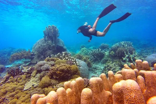 Explore Nha Trang Bay: Snorkeling Adventure with Lunch