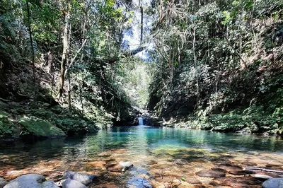 Unforgettable Trekking Adventure: Explore Bach Ma National Park from Hue