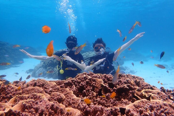 Explore Underwater Paradise: Scuba Diving at Racha and Coral Reefs!