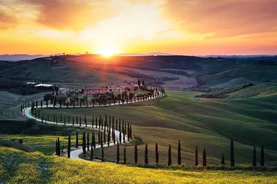 Tuscany Wine Tour: Private Day Trip from Rome