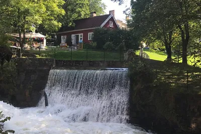 Oslo's Nature & Flavors: A River Walk & Culinary Journey