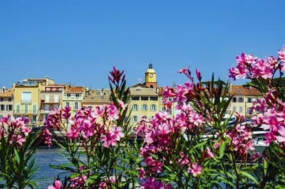 Unveiling Saint-Tropez: A Whirlwind 60-Minute Local's Tour