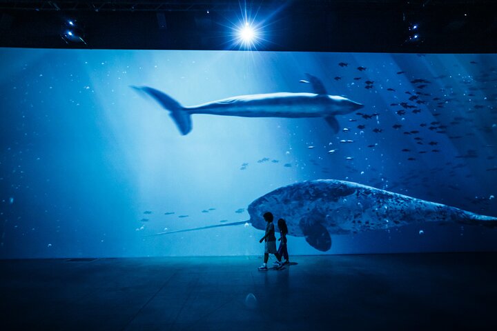 Experience Image img4