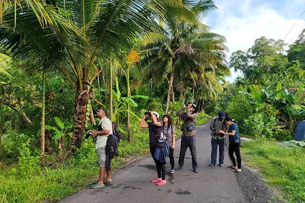 Havelock's Dawn Chorus: Sunrise, Birds & Island Charm!