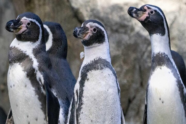 Experience Image img4