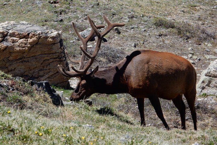 Experience Image img4