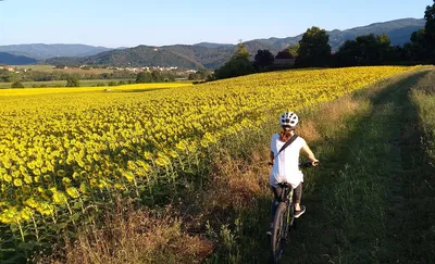 Tuscany's Artistic Roots: Cycle Through Giotto & Cimabue's Landscapes