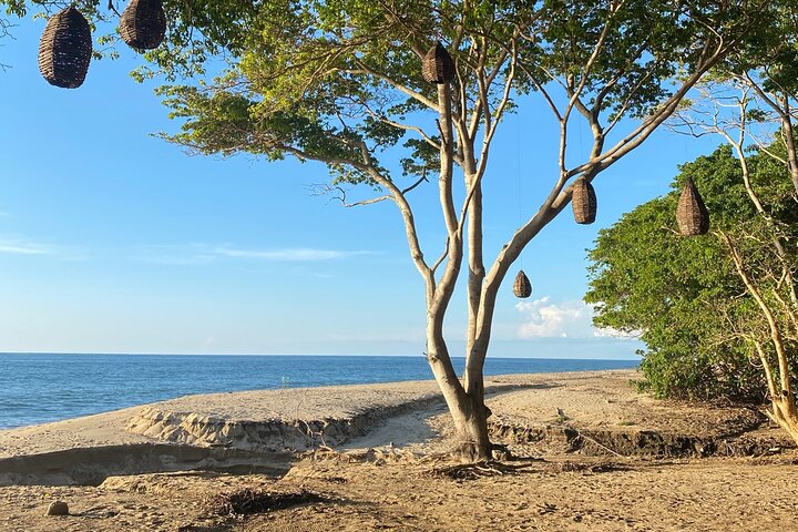 Experience Image img3