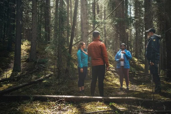 Forest Bathing: Connect with Nature