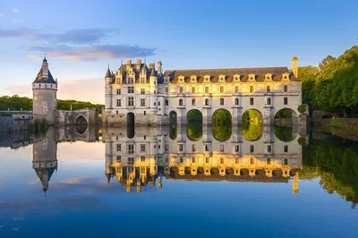 Unveiling Loire Valley's Majesty: A Da Vinci Castle Private Tour from Paris
