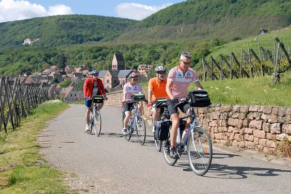 Alsace Bike Tour: Vineyards, Villages & Wine Tasting