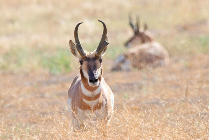 Experience Image img3