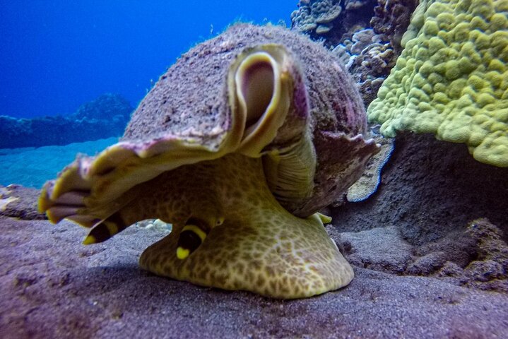 Experience Image img4