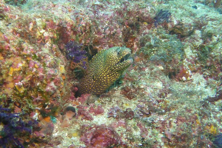 Experience Image img3