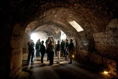Colosseum Underground Tour: Exclusive Access & Roman Forum