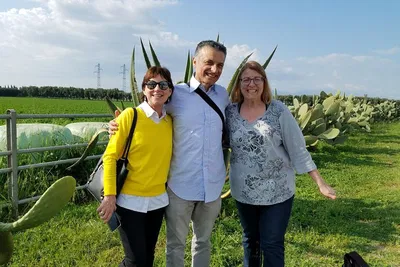 Uncork Cilento: A Local Wine & Vineyard Immersion