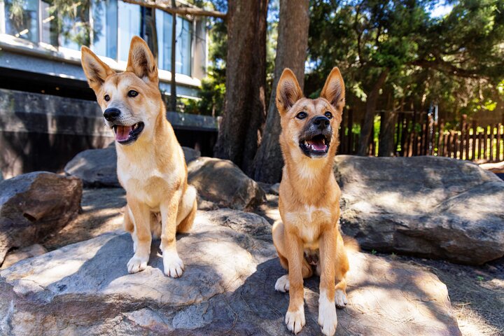 Experience Image img4