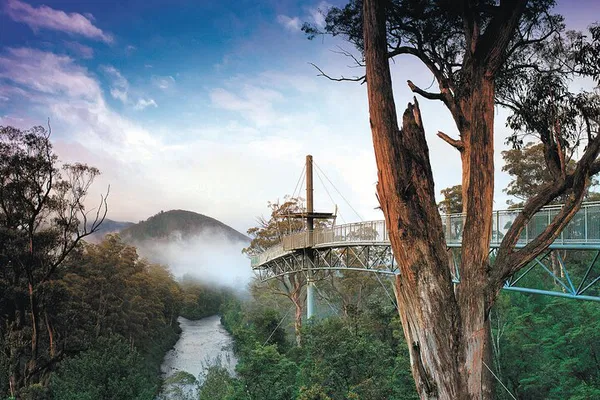 Tasmania's South: Caves, Airwalk & Huon Valley Tour