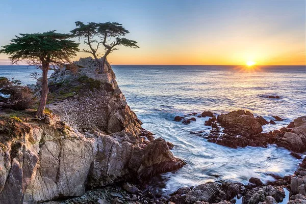 Monterey & Carmel Day Trip: See 17-Mile Drive!