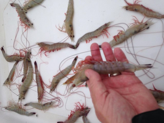 Experience Image img2