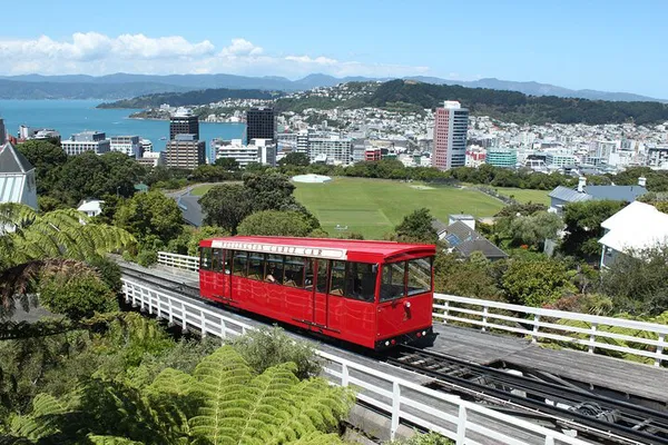 Discover Wellington's Wonders: A Personalized Full-Day Tour