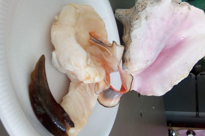 Experience Image img2