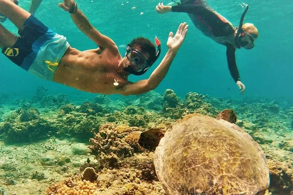 Oahu Circle Island Tour: Snorkel with Turtles & Beaches