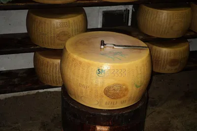 Uncover Parma's Culinary Secrets: A Food Lover's Dream