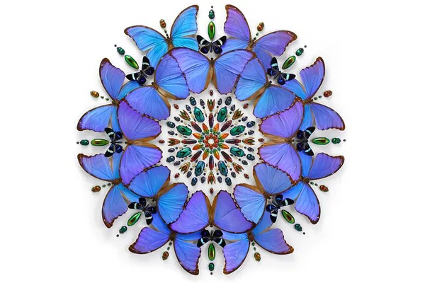 Marvel at Meticulous Art: Exquisite Creatures Exhibit