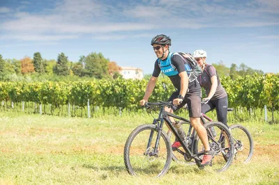 Istrian Coast Cycling Adventure: 5-Day Guided Tour with Wine & Truffles