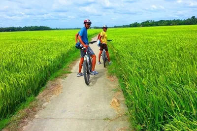Hoi An's Bike and Bite: A Culinary Cycling Adventure