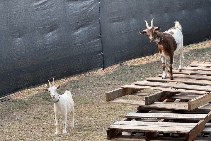 Experience Image img4