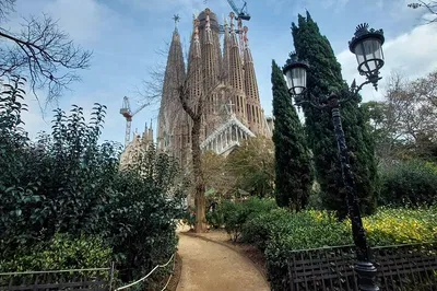 Image 2