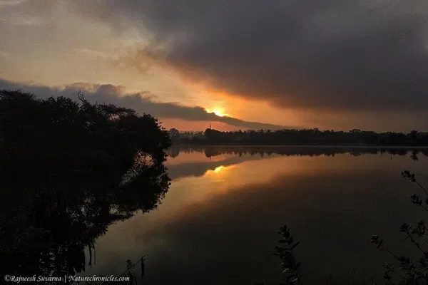 Bangalore Birding Expedition: Uncover Belize's Avian Wonders with Expert Guide