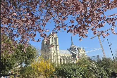 Notre Dame: History Tour After Restoration