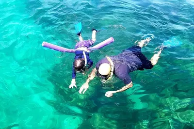 Miami Snorkel Adventure: Secluded Island & Skyline Views