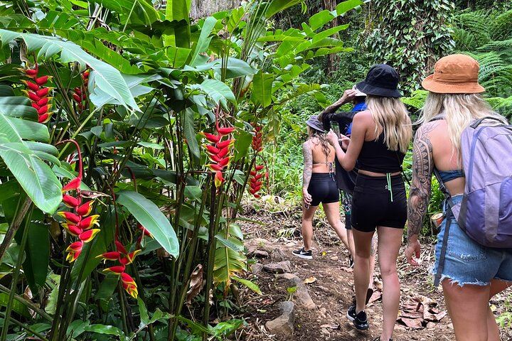 Experience Image img1