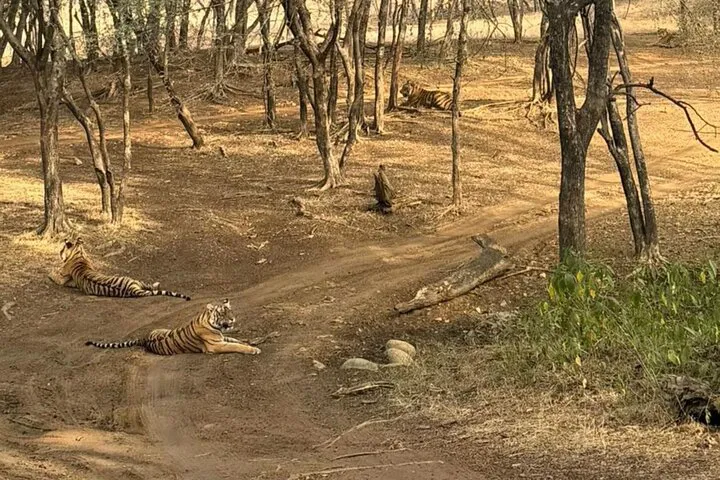 img0