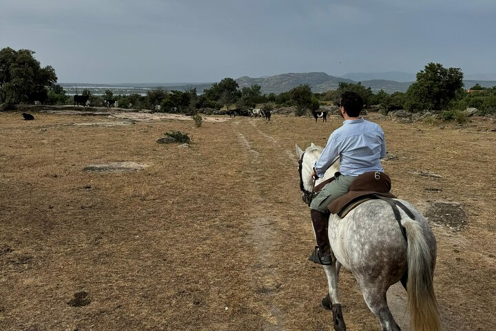 Experience Image img2