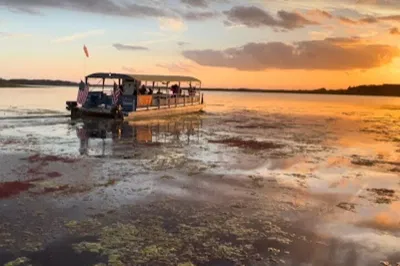 Wildlife Boat Cruise: Eco-Adventure on Local Waterways