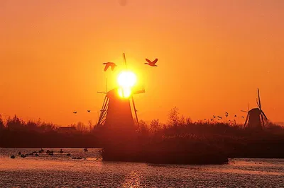 Capture Kinderdijk's Charm: A Photographer's Dream Tour