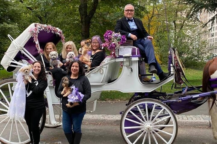 Central Park Romance: 45-Minute Horse Carriage Ride Through NYC's Iconic Views