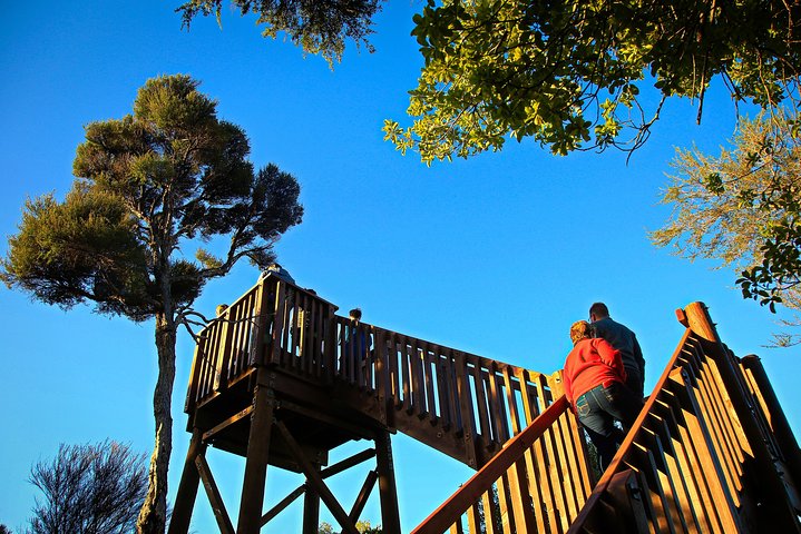 Experience Image img2